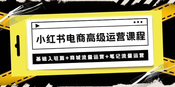 小红书电商高级运营课程：基础入驻篇+商城流量运营+笔记流量运营-小白项目网