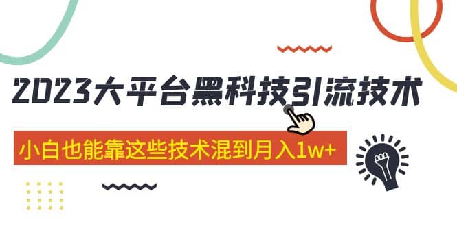 价值4899的2023大平台黑科技引流技术 29节课-小白项目网