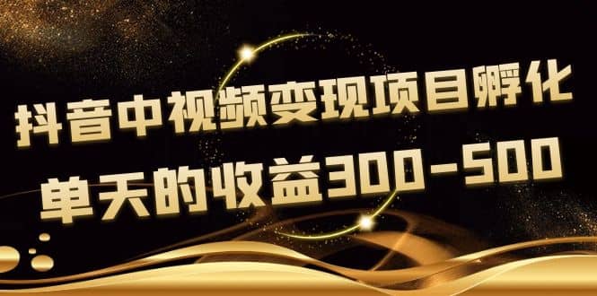 黄岛主《抖音中视频变现项目孵化》单天的收益300-500 操作简单粗暴-小白项目网