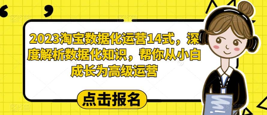 2023淘宝数据化-运营 14式，深度解析数据化知识，帮你从小白成长为高级运营-小白项目网