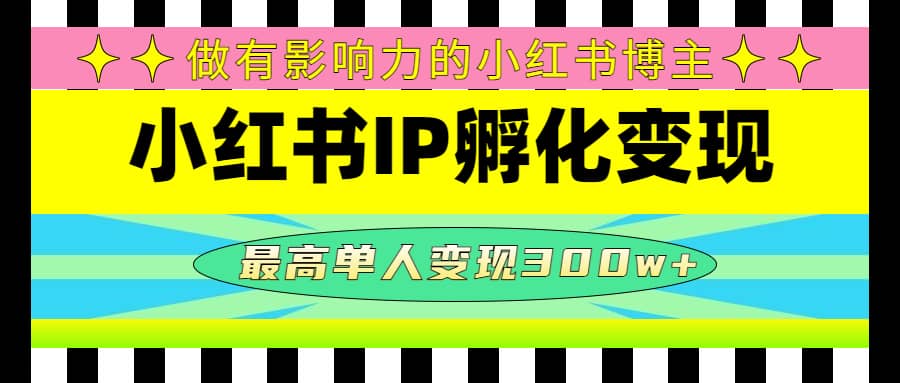 某收费培训-小红书IP孵化变现：做有影响力的小红书博主-小白项目网