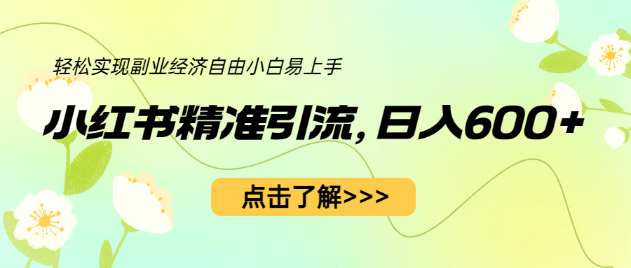 小红书精准引流，小白日入600+，轻松实现副业经济自由（教程+1153G资源）-小白项目网