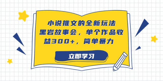 小说推文的全新玩法，黑岩故事会，单个作品收益300+，简单暴力-小白项目网