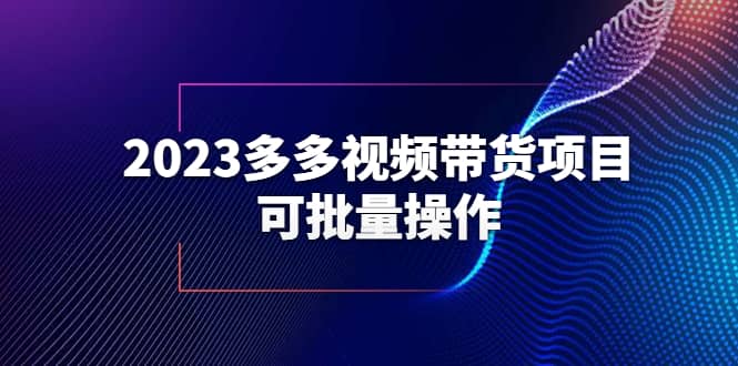 2023多多视频带货项目，可批量操作【保姆级教学】-小白项目网