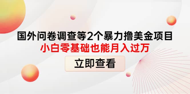 国外问卷调查等2个暴力撸美元项目，小白零基础也能月入过万-小白项目网