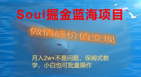 Soul掘金蓝海项目细分赛道，做情感价值变现，月入2w+不是问题-小白项目网