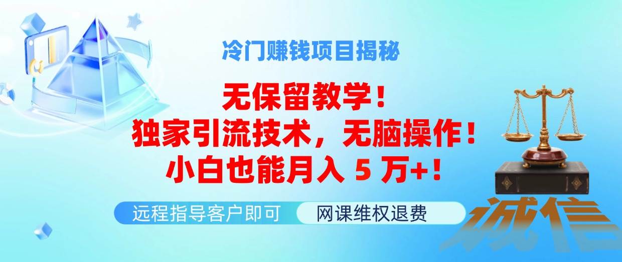 冷门赚钱项目无保留教学！独家引流技术，无脑操作！小白也能月入5万+！-小白项目网