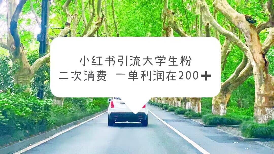 小红书引流大学生粉，变现项目，一单利润在200+（教程+资源）-小白项目网