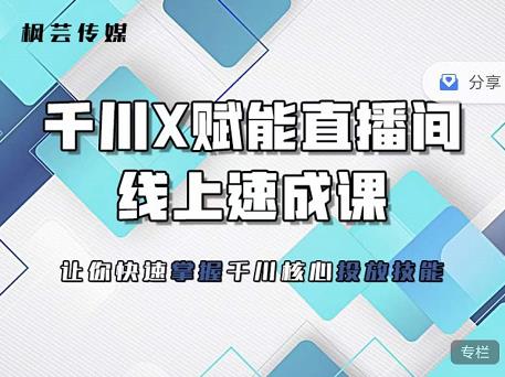 枫芸传媒-线上千川提升课，提升千川认知，提升千川投放效果-小白项目网