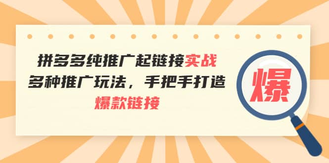 拼多多纯推广起链接实战：多种推广玩法，手把手打造爆款链接-小白项目网