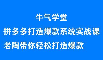 牛气学堂拼多多打造爆款系统实战课，老陶带你轻松打造爆款-小白项目网