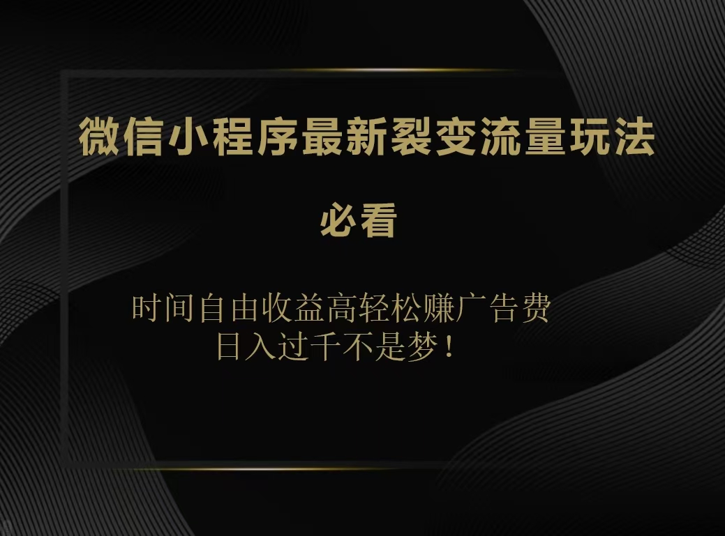 微信小程序最新裂变流量玩法，时间自由收益高轻松赚广告费，日入200-500+ - 小白项目网-小白项目网