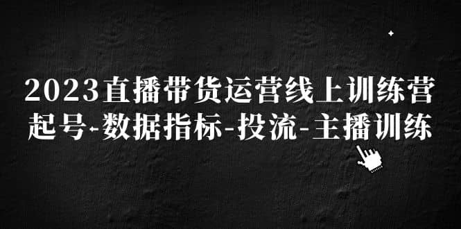 2023直播带货运营线上训练营，起号-数据指标-投流-主播训练-小白项目网