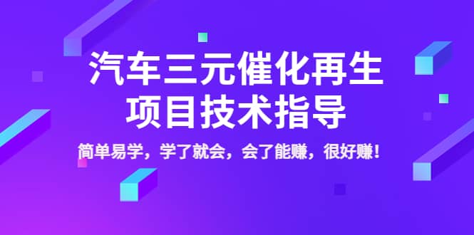 汽车三元催化再生项目技术指导，简单易学，学了就会，会了能赚，很好赚！-小白项目网