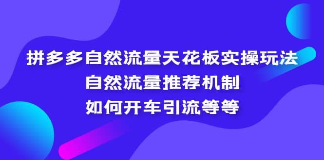 拼多多自然流量天花板实操玩法：自然流量推荐机制，如何开车引流等等-小白项目网