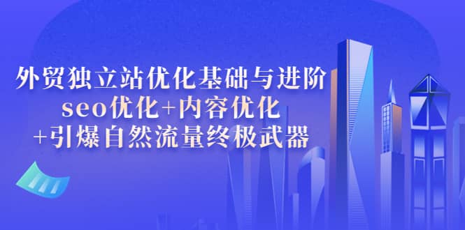 外贸独立站优化基础与进阶，seo优化+内容优化+引爆自然流量终极武器-小白项目网