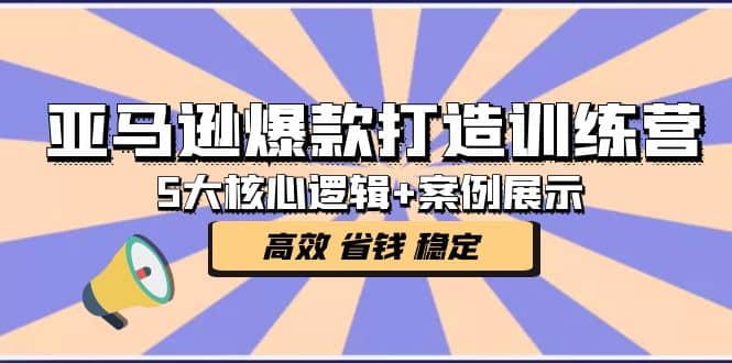 亚马逊爆款打造训练营：5大核心逻辑+案例展示 打造爆款链接 高效 省钱 稳定-小白项目网