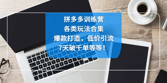 拼多多训练营：各玩法合集，爆款打造，低价引流，7天破千单等等-小白项目网