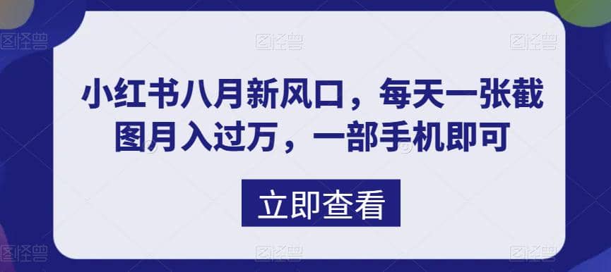 八月新风口，小红书虚拟项目一天收入1000+，实战揭秘-小白项目网