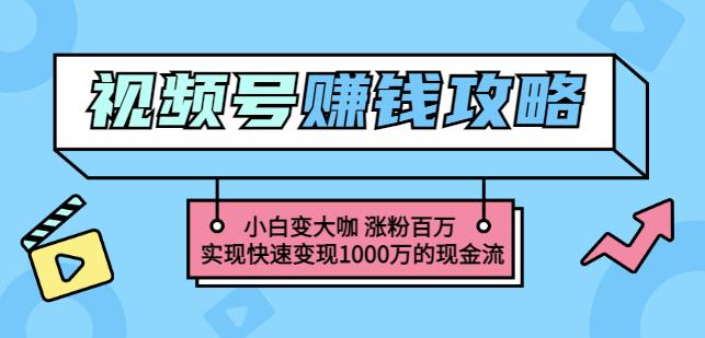 玩转微信视频号赚钱：小白变大咖涨粉百万实现快速变现1000万的现金流-小白项目网