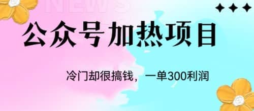 冷门公众号加热项目，一单利润300+-小白项目网