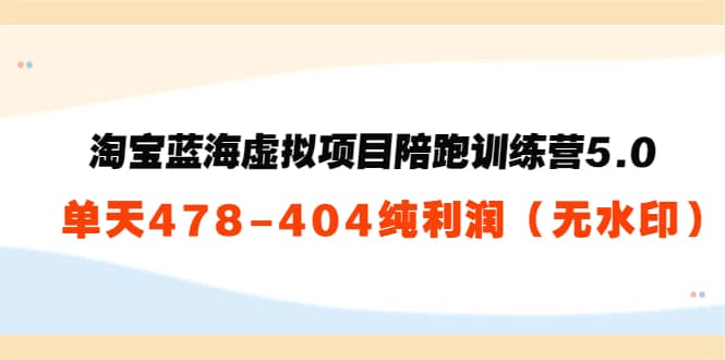 淘宝蓝海虚拟项目陪跑训练营5.0：单天478纯利润（无水印）-小白项目网