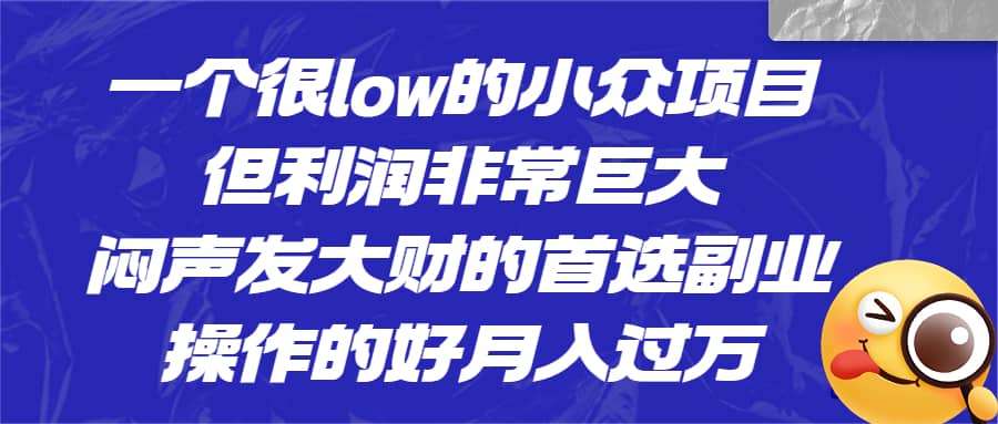 一个很low的小众项目，但利润非常巨大，闷声发大财的首选副业，月入过万-小白项目网