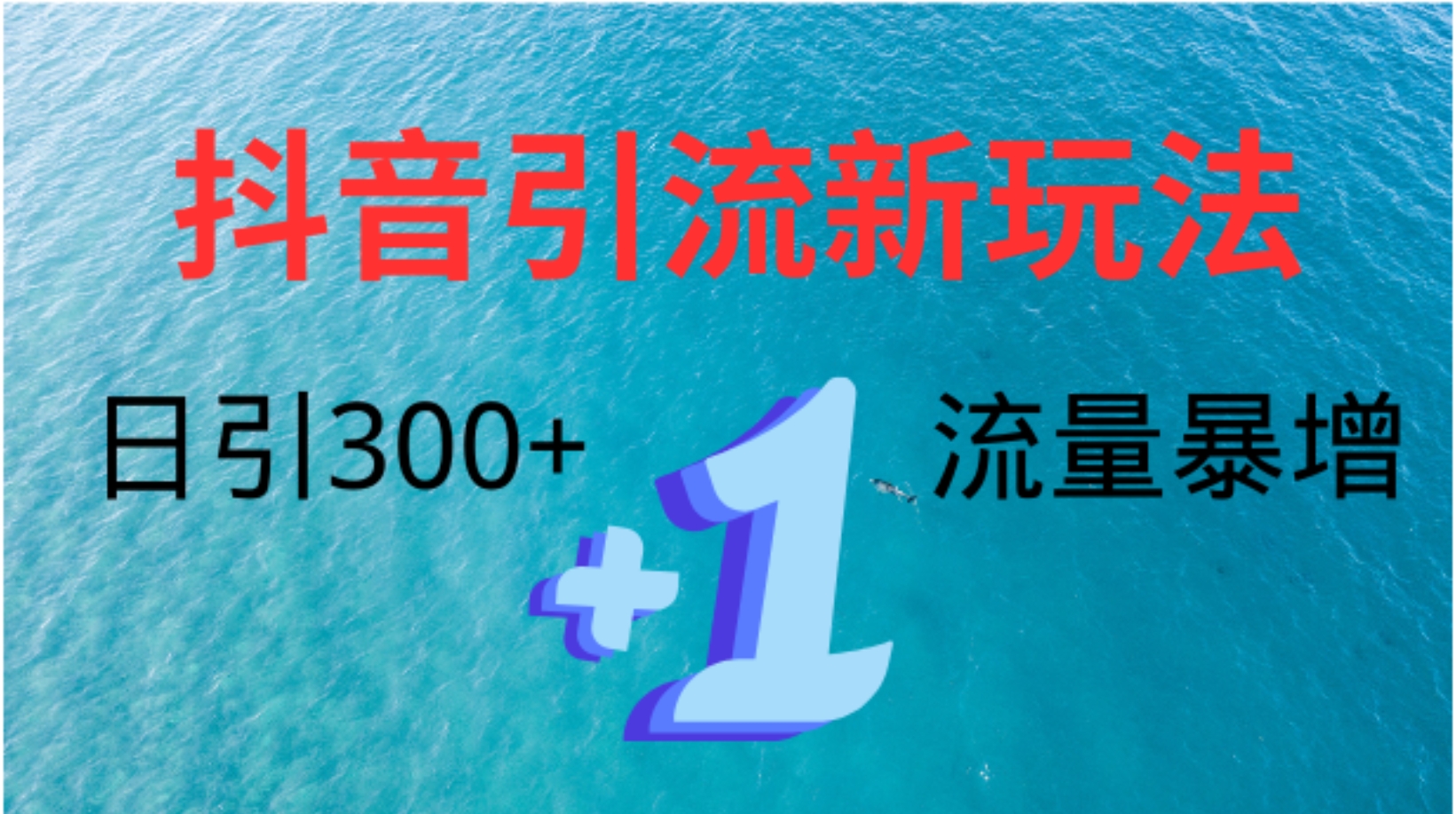 创业粉高效引流，抖音工具号玩法4.0，日引300+-小白项目网