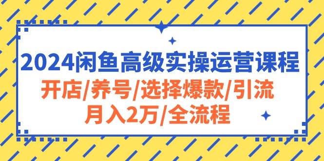 2024闲鱼高级实操运营课程：开店/养号/选择爆款/引流/月入2万/全流程-小白项目网