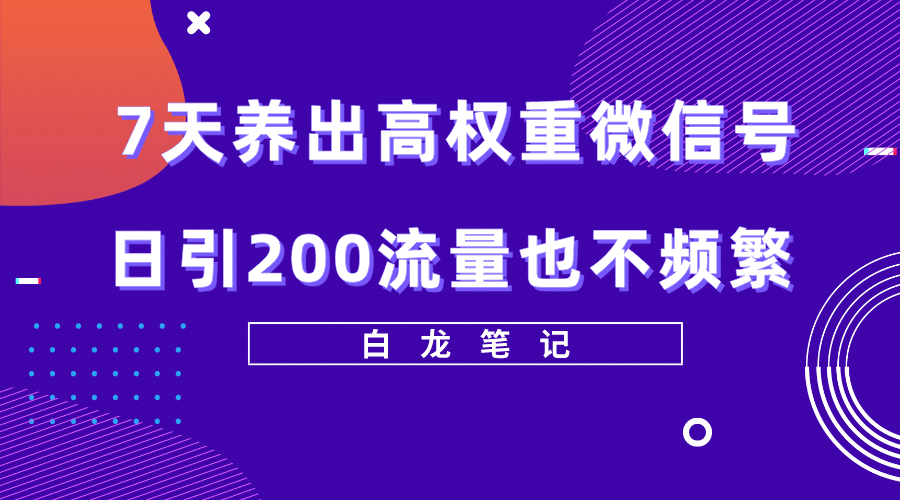 7天养出高权重微信号，日引200流量也不频繁，方法价值3680元-小白项目网