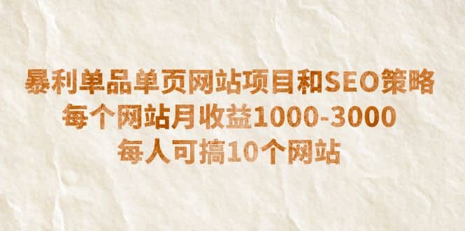 暴利单品单页网站项目和SEO策略 每个网站月收益1000-3000 每人可搞10个-小白项目网