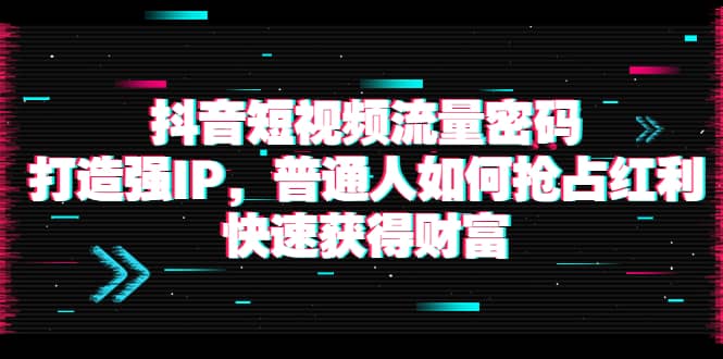 抖音短视频流量密码：打造强IP，普通人如何抢占红利，快速获得财富-小白项目网