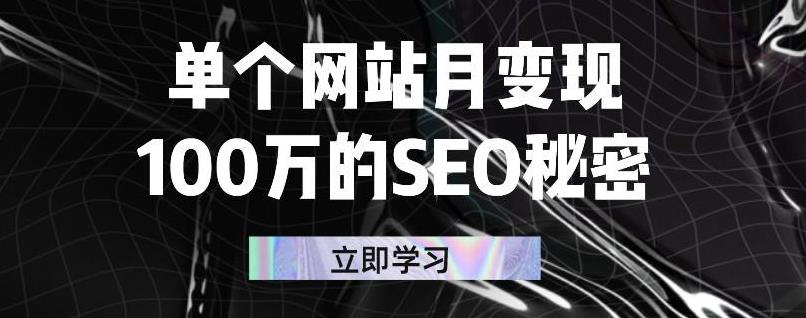 单个网站月变现100万的SEO秘密，百分百做出赚钱站点-小白项目网