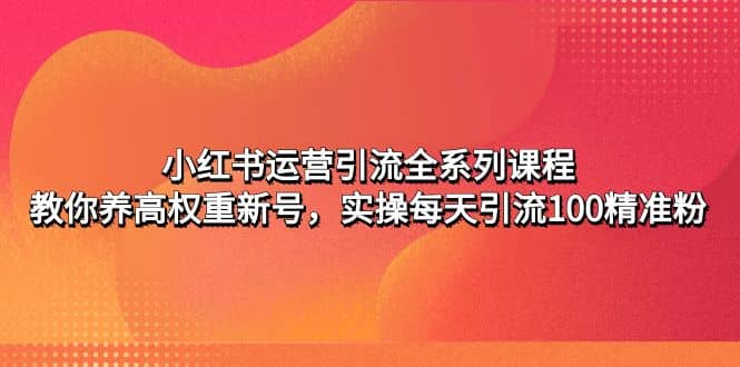 小红书运营引流全系列课程：教你养高权重新号-小白项目网