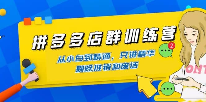 拼多多店群训练营：从小白到精通，只讲精华，剔除推销和废话-小白项目网