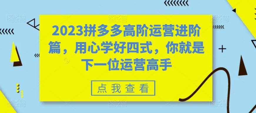 2023拼多多高阶运营进阶篇，用心学好四式，你就是下一位运营高手-小白项目网