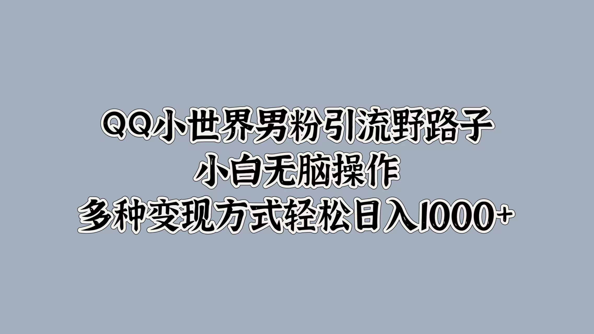 QQ小世界男粉引流野路子，小白无脑操作，多种变现方式轻松日入1000+ - 小白项目网-小白项目网