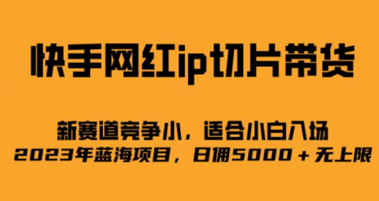 快手网红ip切片新赛道，竞争小事，适合小白 2023蓝海项目-小白项目网