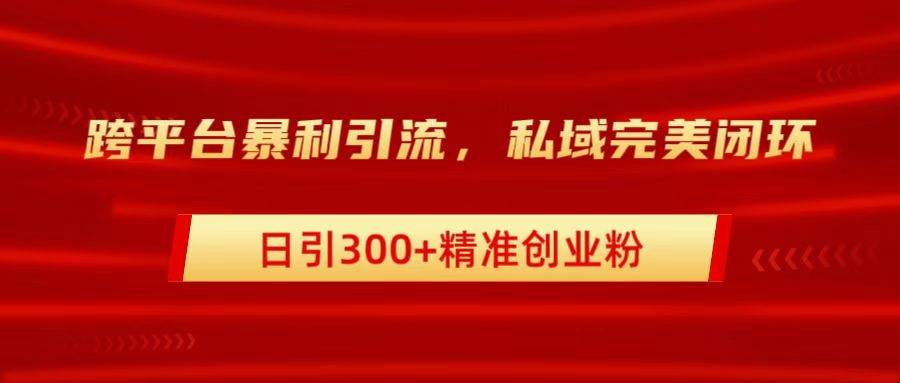 跨平台暴力引流，私域完美闭环，日引300+精准创业粉 - 小白项目网-小白项目网