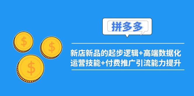 2022拼多多：新店新品的起步逻辑+高端数据化运营技能+付费推广引流能力提升-小白项目网