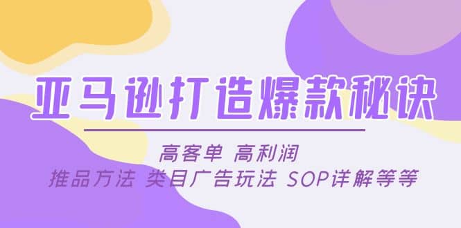 亚马逊打造爆款秘诀：高客单 高利润 推品方法 类目广告玩法 SOP详解等等-小白项目网