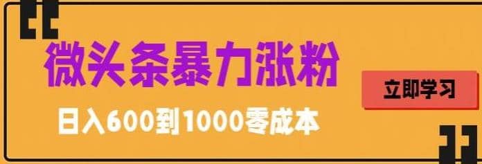 微头条暴力涨粉技巧搬运文案就能涨几万粉丝，简单0成本，日赚600-小白项目网