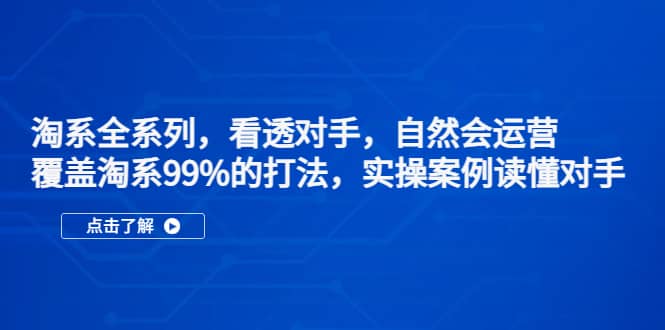 淘系全系列，看透对手，自然会运营，覆盖淘系99%·打法，实操案例读懂对手-小白项目网