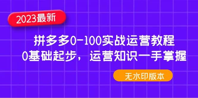 2023拼多多0-100实战运营教程，0基础起步，运营知识一手掌握（无水印）-小白项目网