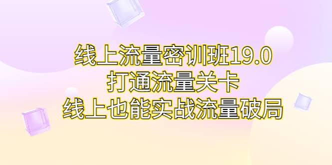 线上流量密训班19.0，打通流量关卡，线上也能实战流量破局-小白项目网