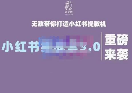 谢无敌·小红书实战营3.0，无敌带你打造小红书提款机 价值7999元-小白项目网