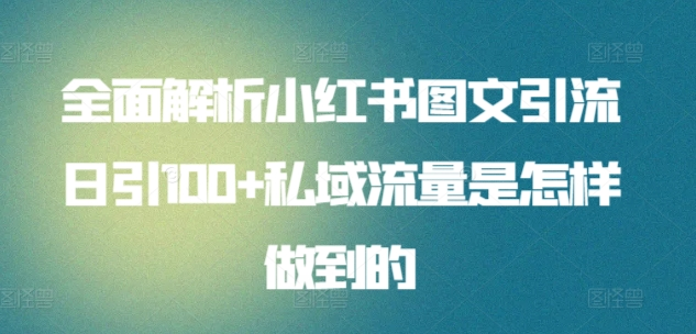 日引流100私域流量小红书图文是怎样做到的全面解析-小白项目网