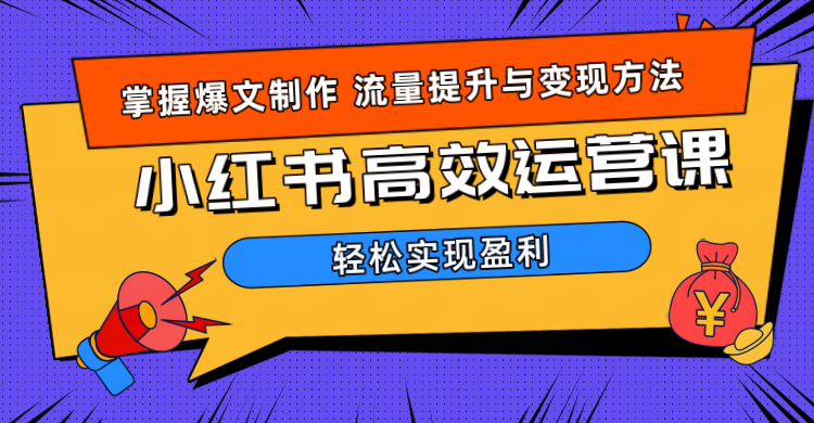 价值980小红书运营操作指南 - 小白项目网-小白项目网