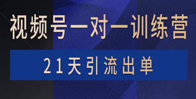 视频号训练营：带货，涨粉，直播，游戏，四大变现新方向，21天引流出单-小白项目网