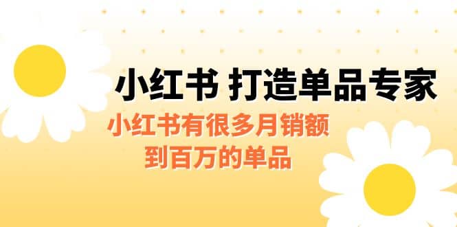 某公众号付费文章《小红书 打造单品专家》小红书有很多月销额到百万的单品-小白项目网